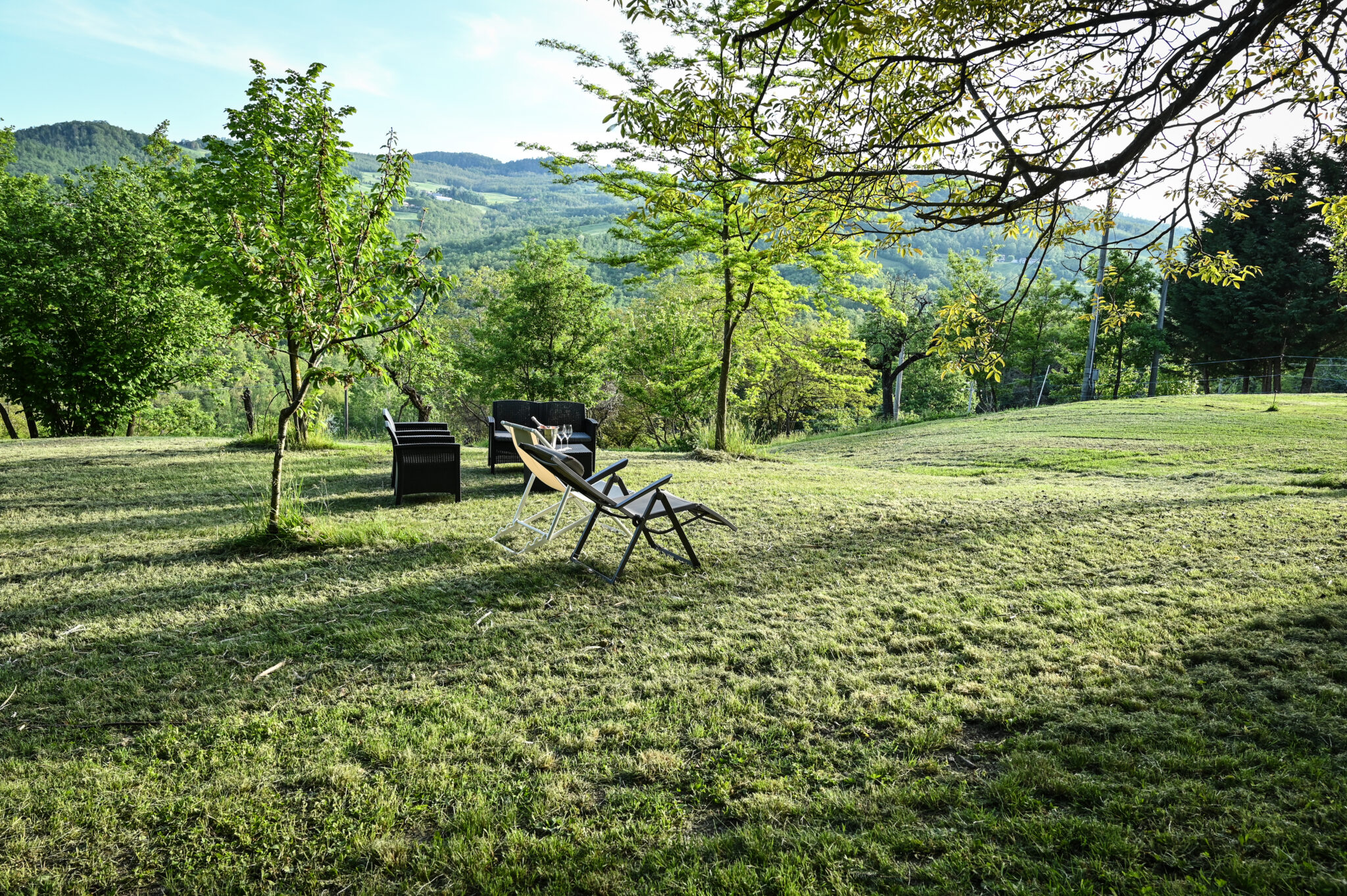 ELE_3434